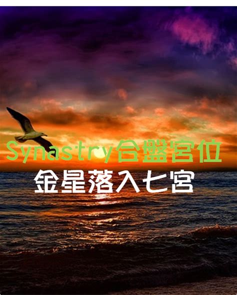 金星12宮前世|Synastry合盤宮位 之 金星落入十二宮 – 量子占星官方。